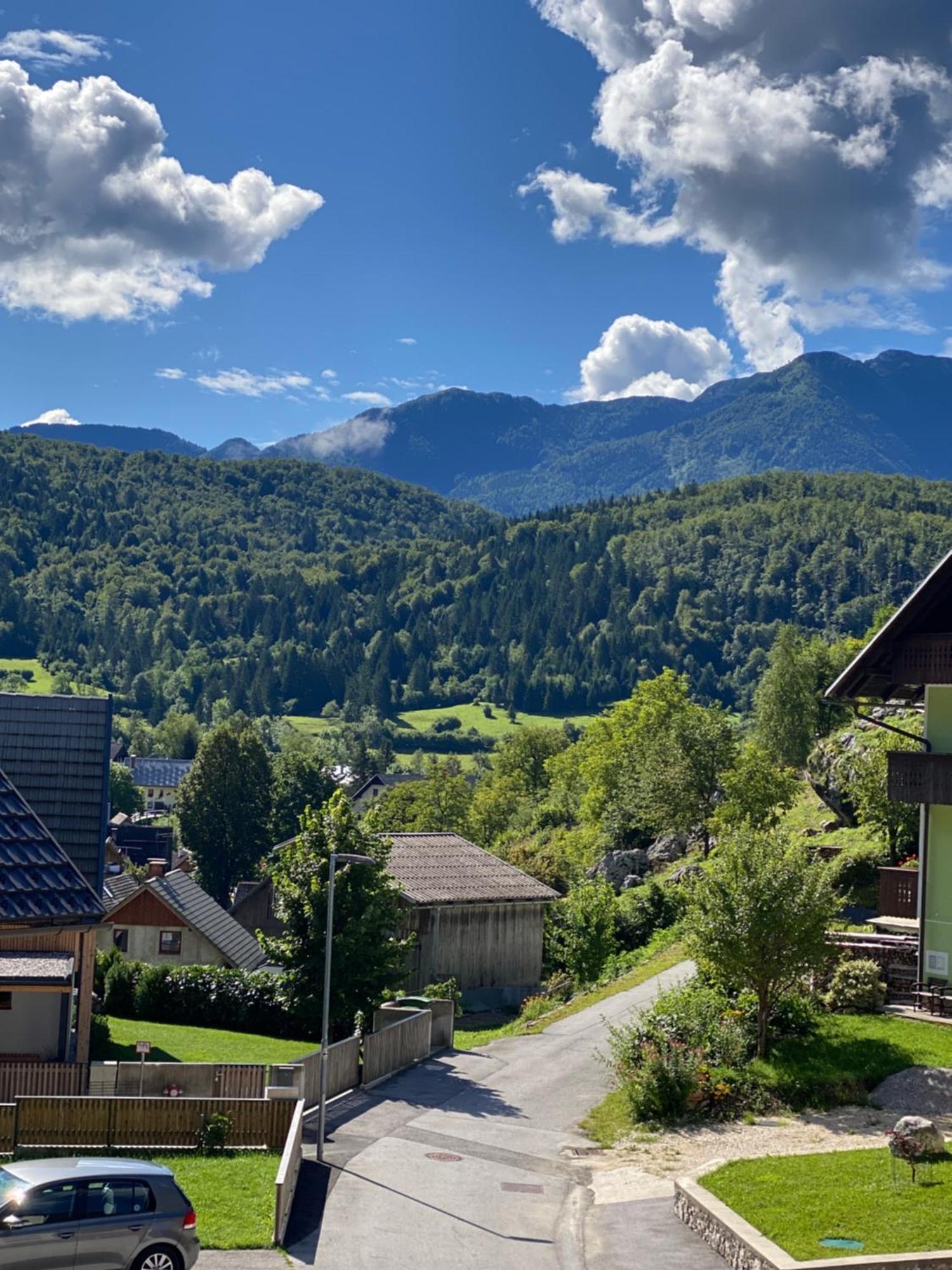 Mountain View In Triglav National Park Apartman Bohinji-tó Kültér fotó